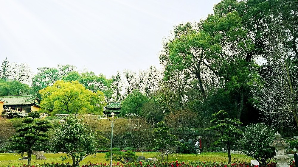 保持快乐的心情,就是功夫 保持快乐的心情,就是功夫